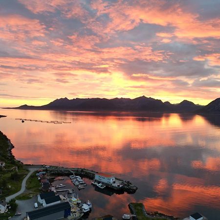 Senja Living Aparthotel Stonglandseidet Kültér fotó