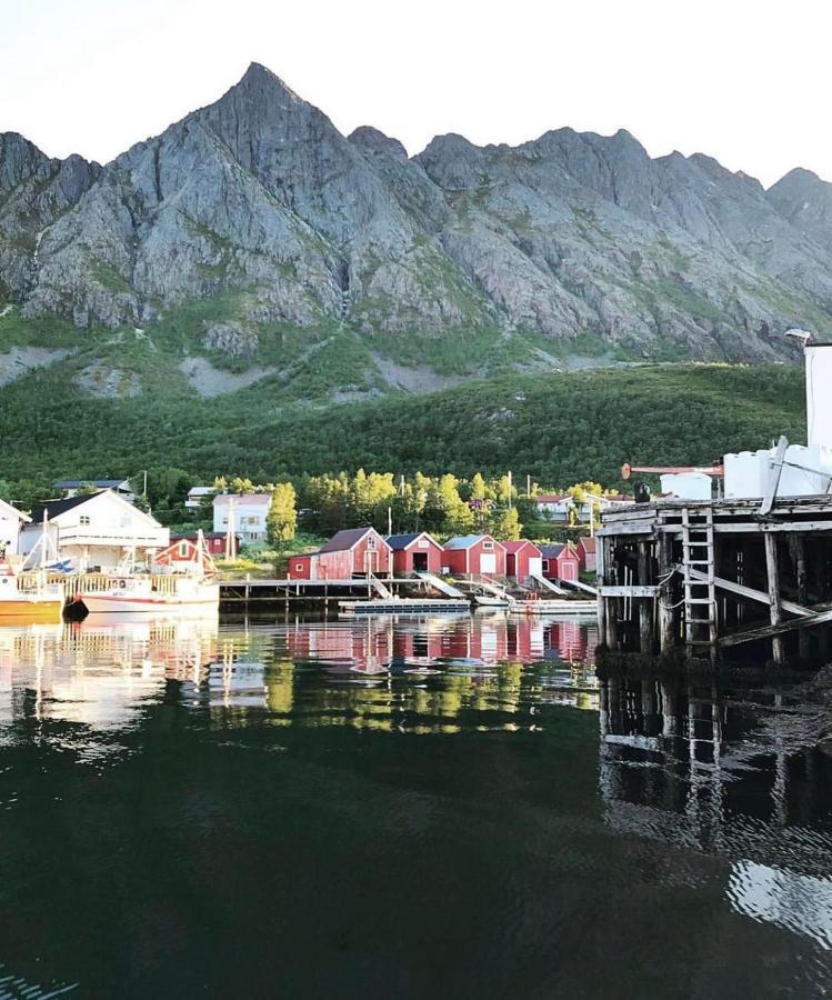 Senja Living Aparthotel Stonglandseidet Kültér fotó