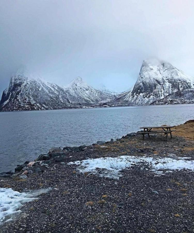 Senja Living Aparthotel Stonglandseidet Kültér fotó