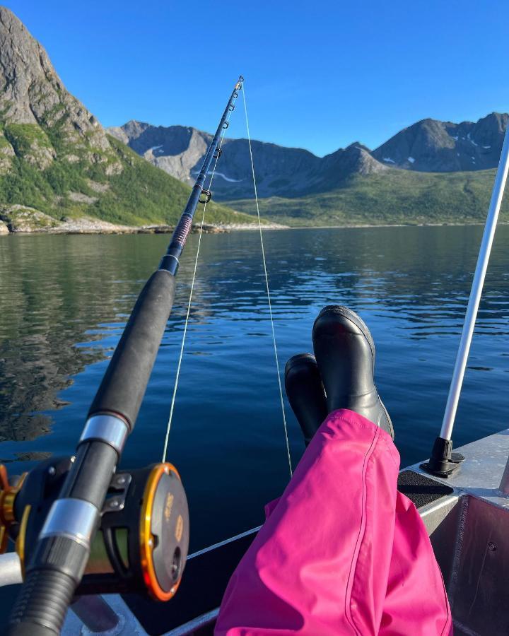 Senja Living Aparthotel Stonglandseidet Kültér fotó