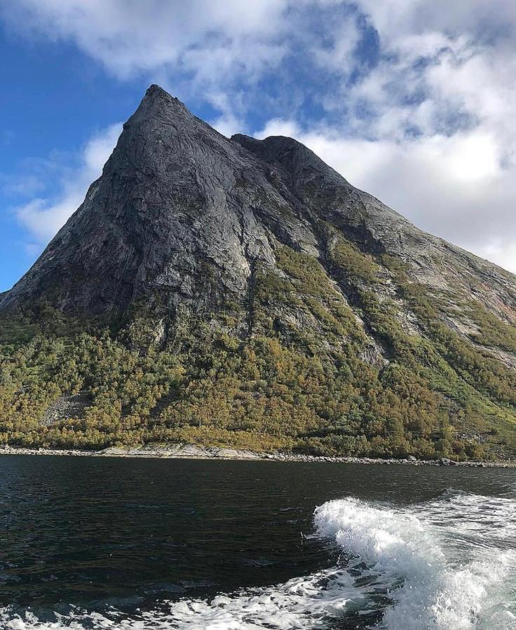 Senja Living Aparthotel Stonglandseidet Kültér fotó