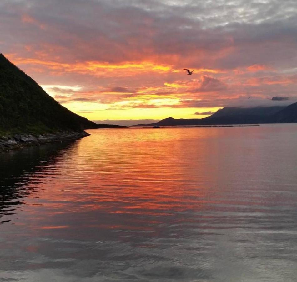 Senja Living Aparthotel Stonglandseidet Kültér fotó