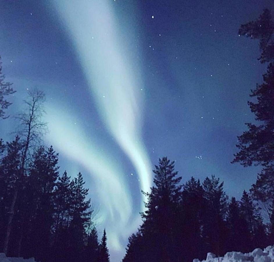 Senja Living Aparthotel Stonglandseidet Kültér fotó