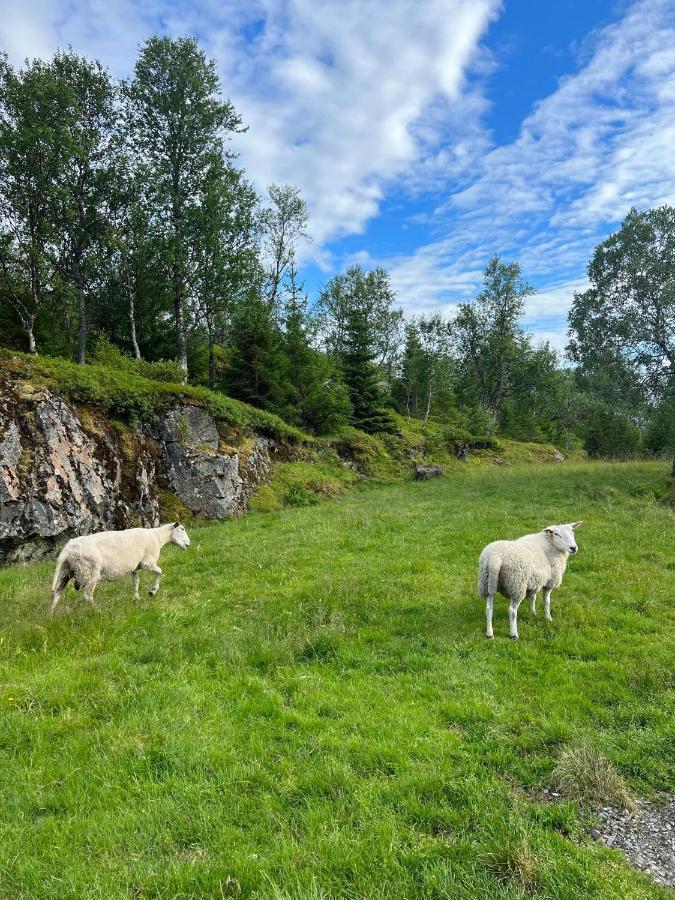 Senja Living Aparthotel Stonglandseidet Kültér fotó