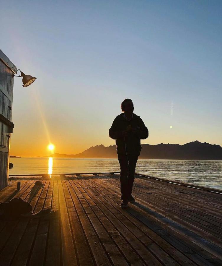 Senja Living Aparthotel Stonglandseidet Kültér fotó