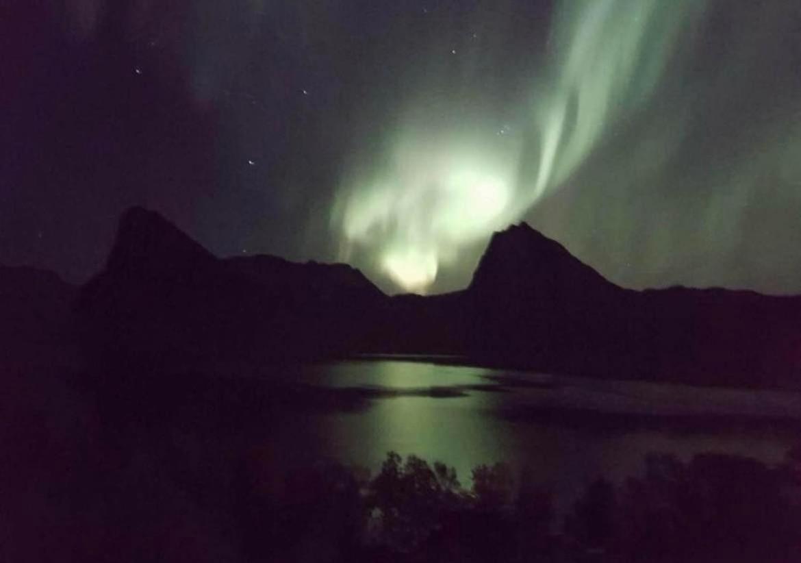 Senja Living Aparthotel Stonglandseidet Kültér fotó