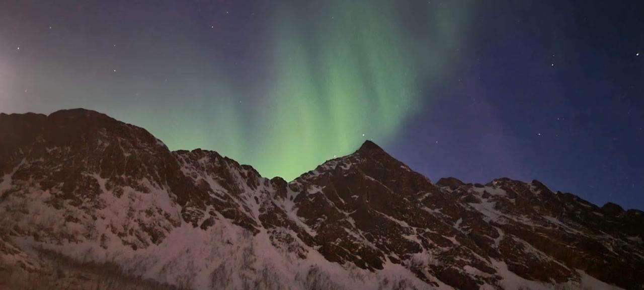 Senja Living Aparthotel Stonglandseidet Kültér fotó