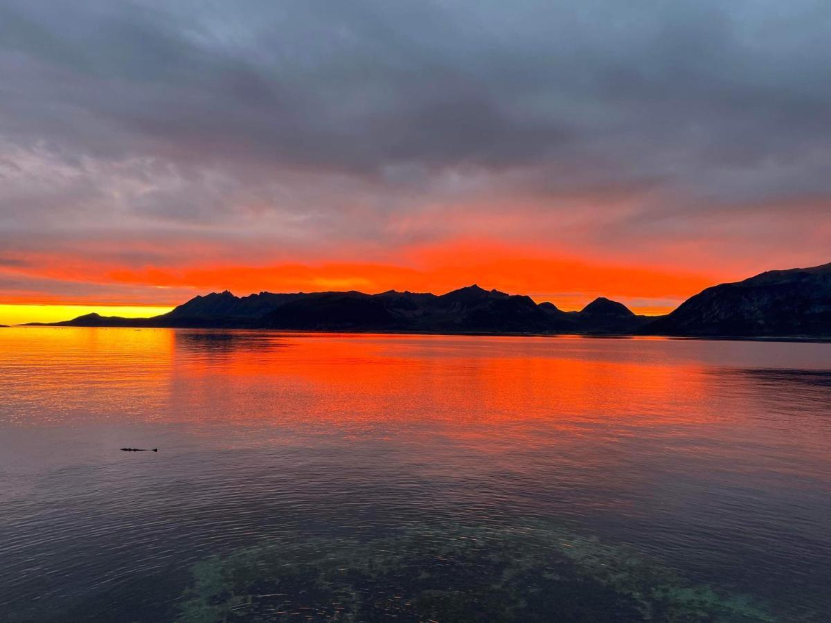 Senja Living Aparthotel Stonglandseidet Kültér fotó