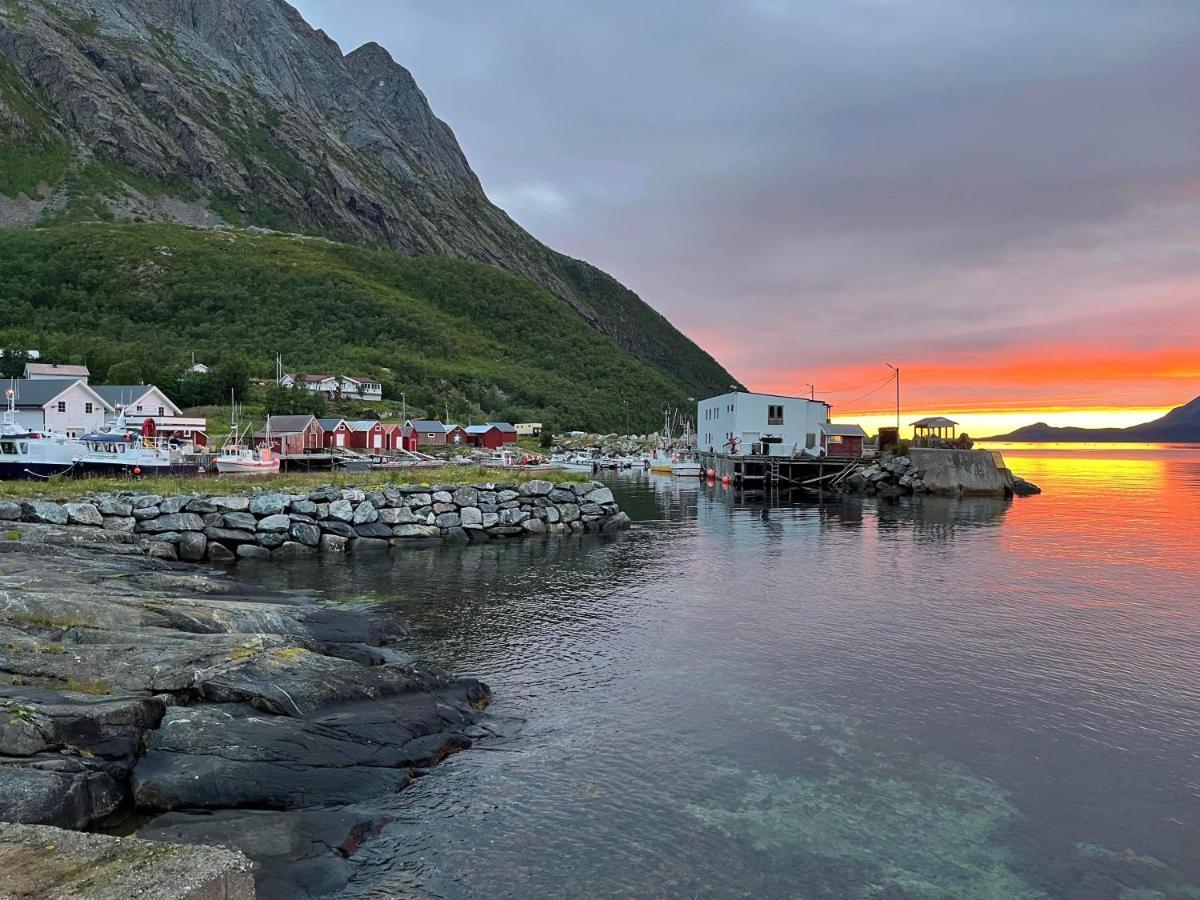 Senja Living Aparthotel Stonglandseidet Kültér fotó