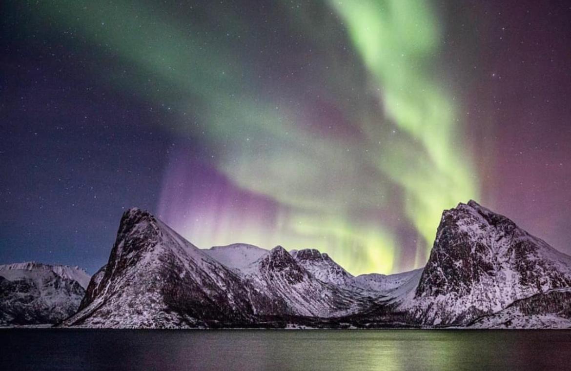 Senja Living Aparthotel Stonglandseidet Kültér fotó