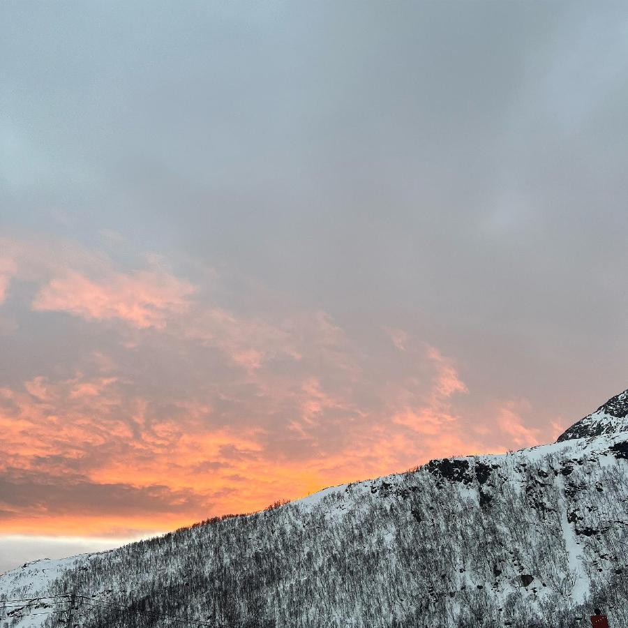 Senja Living Aparthotel Stonglandseidet Kültér fotó