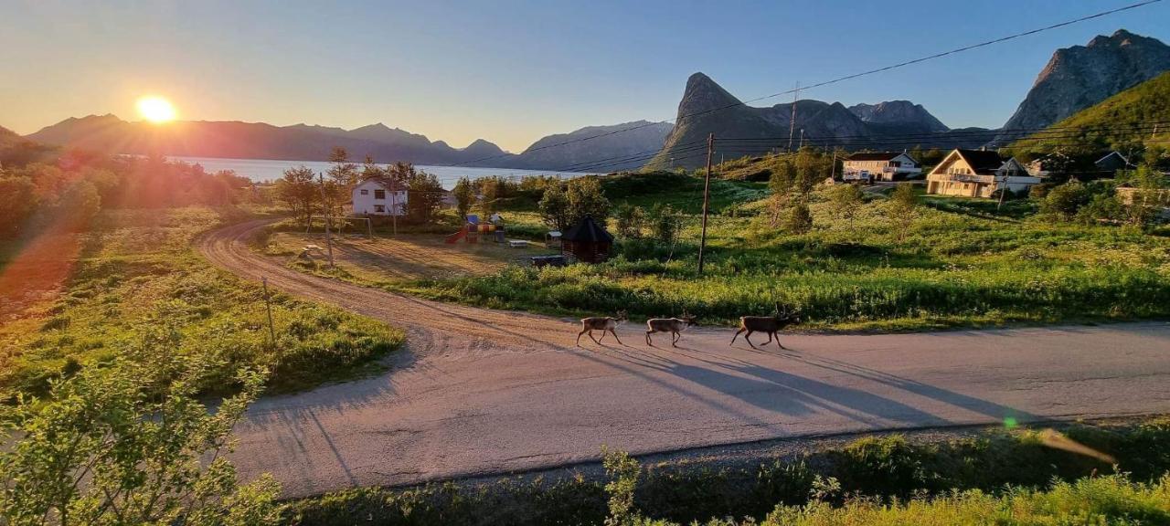 Senja Living Aparthotel Stonglandseidet Kültér fotó