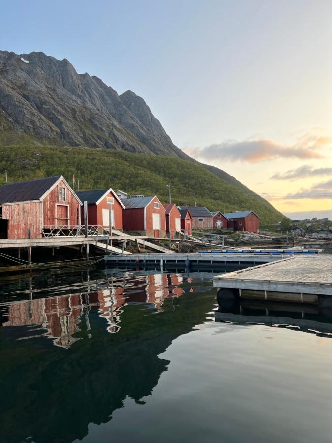 Senja Living Aparthotel Stonglandseidet Kültér fotó