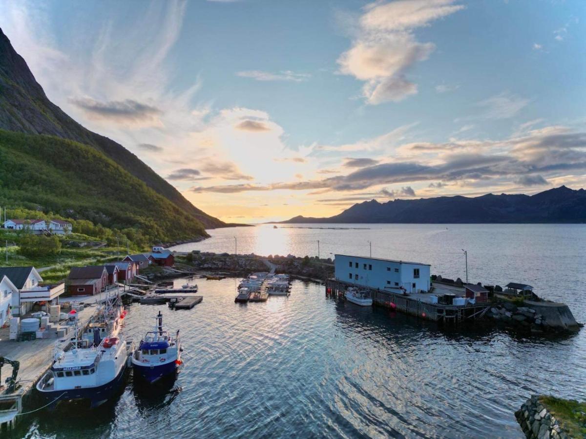 Senja Living Aparthotel Stonglandseidet Kültér fotó