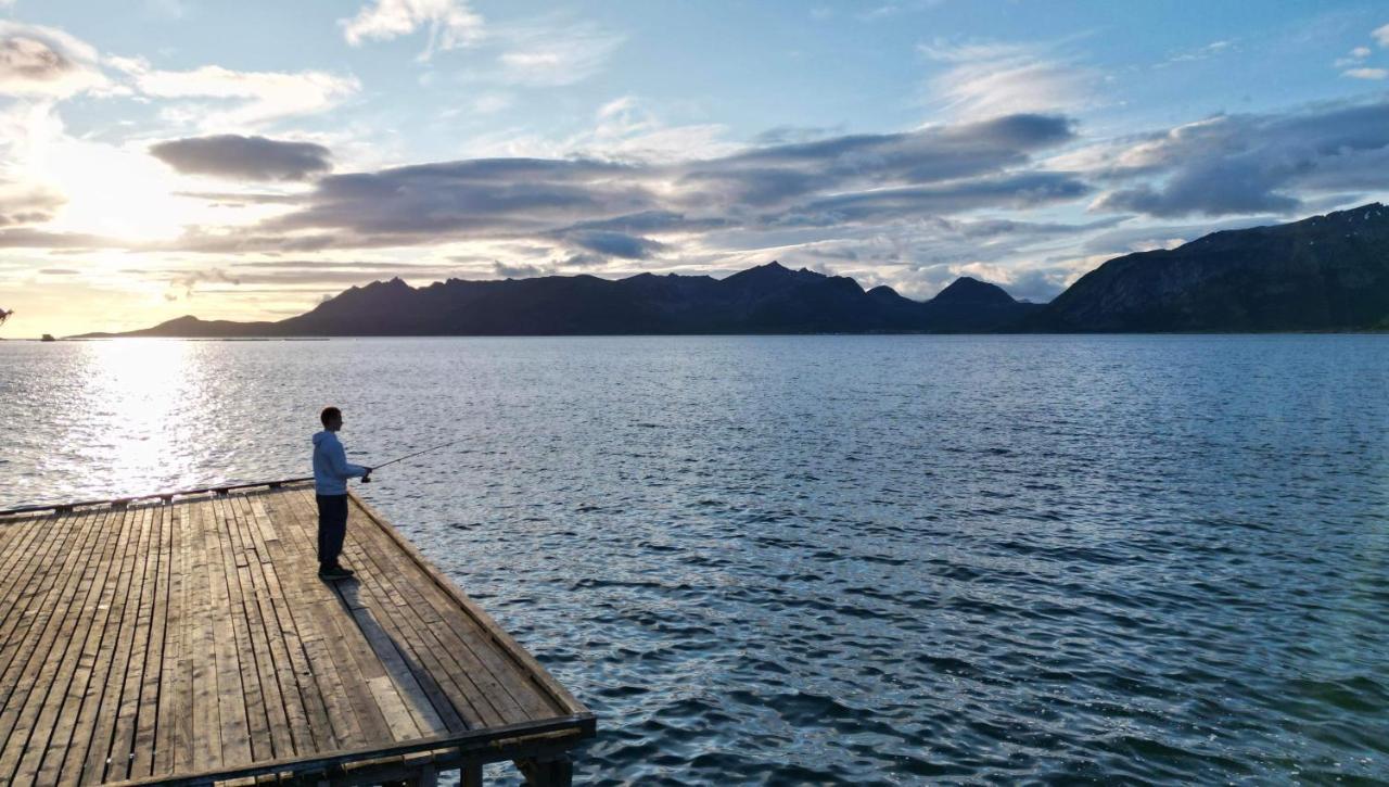 Senja Living Aparthotel Stonglandseidet Kültér fotó