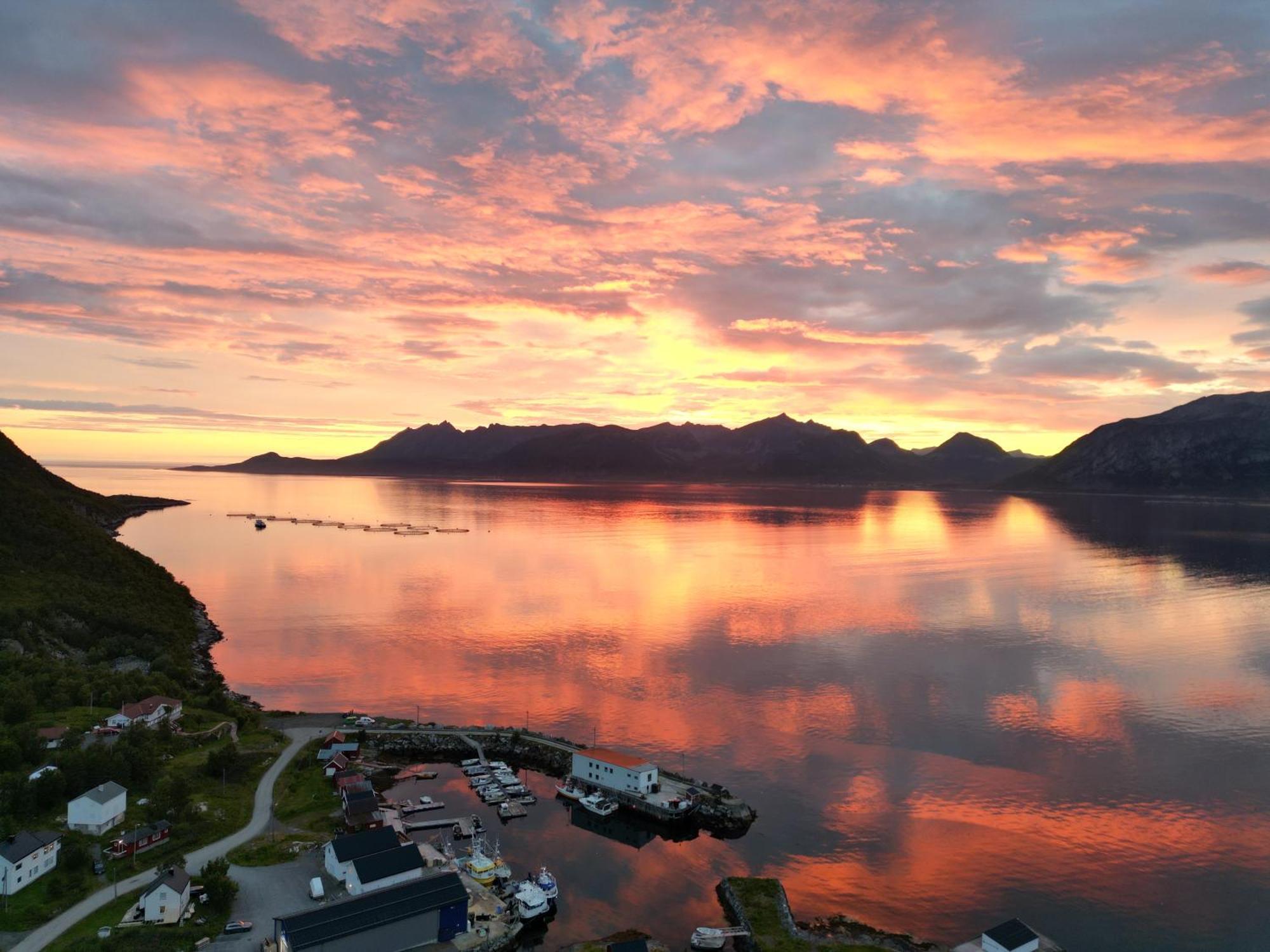 Senja Living Aparthotel Stonglandseidet Kültér fotó